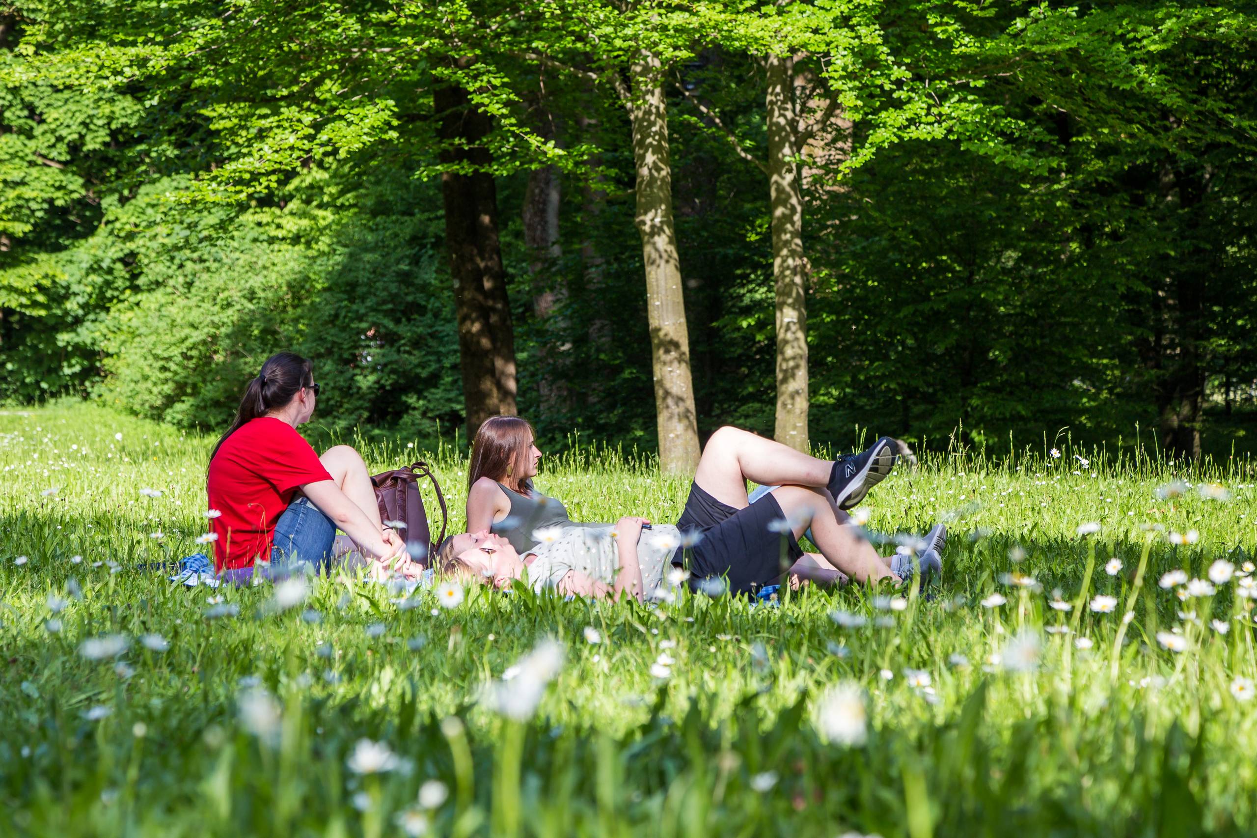 2019 München   249